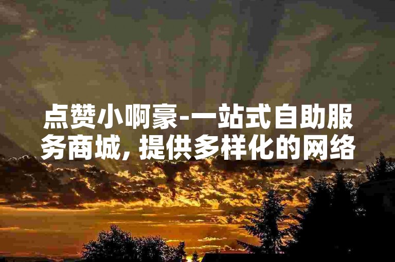 点赞小啊豪-一站式自助服务商城, 提供多样化的网络业务解决方案。