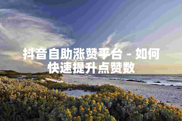 抖音自助涨赞平台 - 如何快速提升点赞数