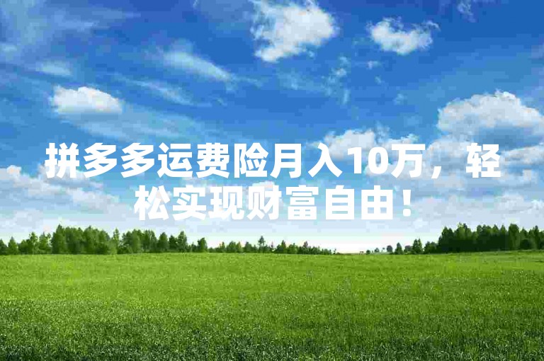 拼多多运费险月入10万，轻松实现财富自由！