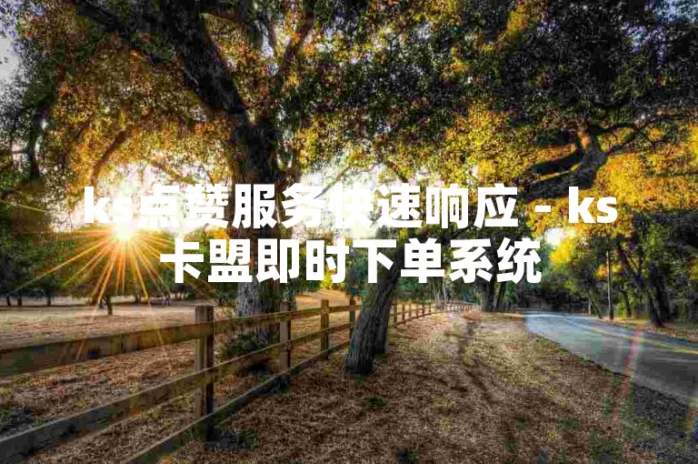 ks点赞服务快速响应 - ks卡盟即时下单系统