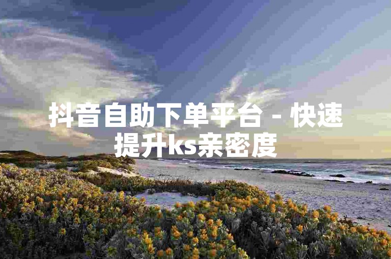 抖音自助下单平台 - 快速提升ks亲密度