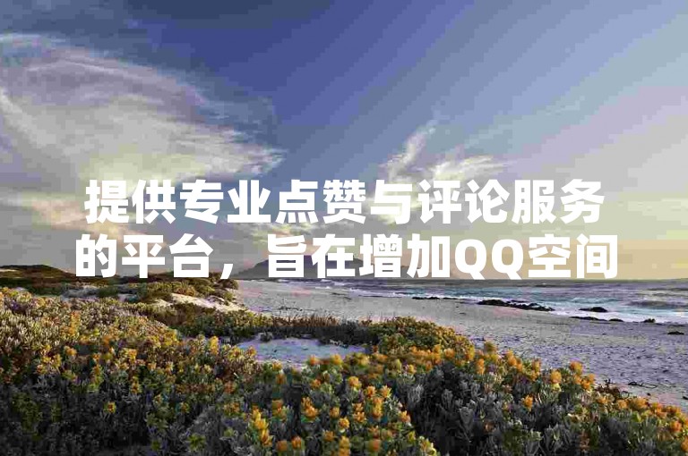 提供专业点赞与评论服务的平台，旨在增加QQ空间的访客流量，同时我们的QQ刷钻服务以全网最低价格著称，是您提升QQ点赞业务的理想选择。