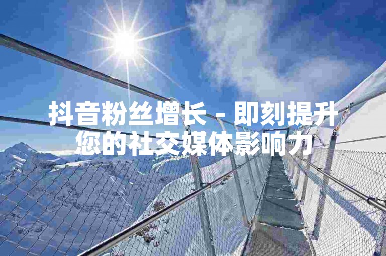 抖音粉丝增长 - 即刻提升您的社交媒体影响力