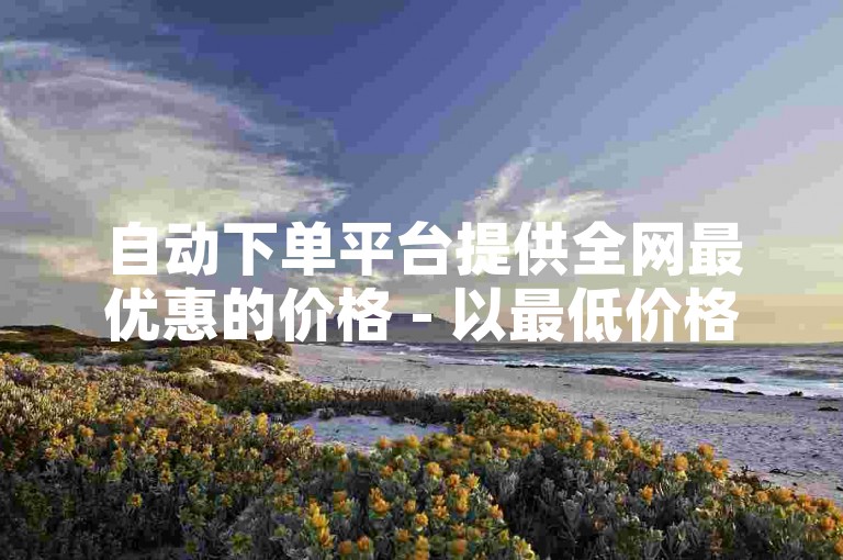 自动下单平台提供全网最优惠的价格 - 以最低价格实现订单自动化，助您轻松节省开支！