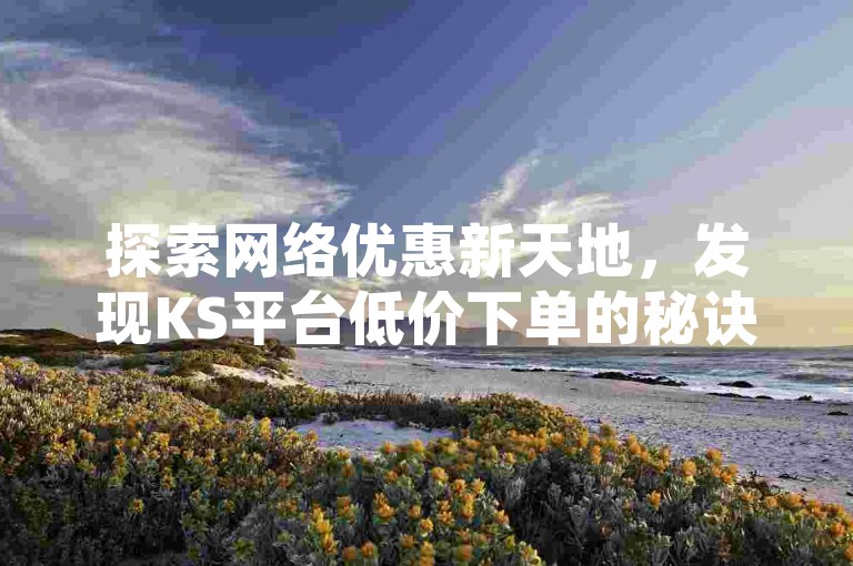 探索网络优惠新天地，发现KS平台低价下单的秘诀，享受哔哩哔哩秒点赞的自助服务，尽在不掉粉的独家业务下单平台。