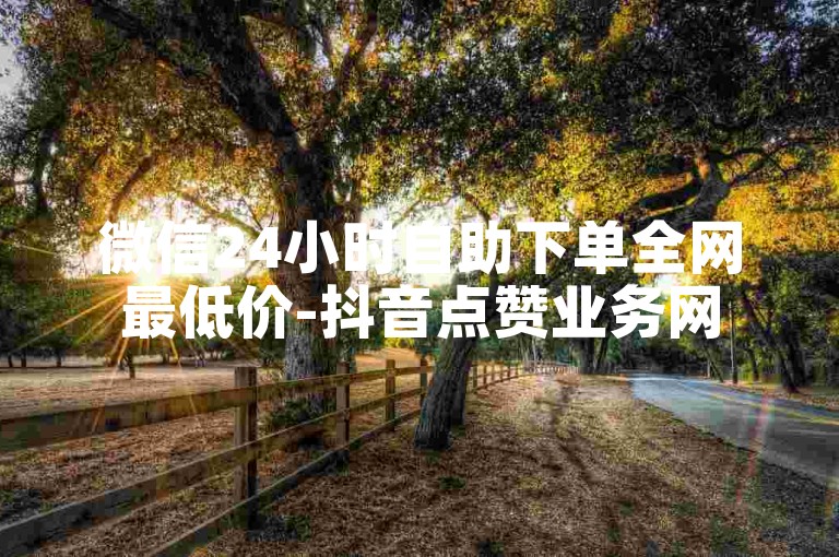 微信24小时自助下单全网最低价-抖音点赞业务网