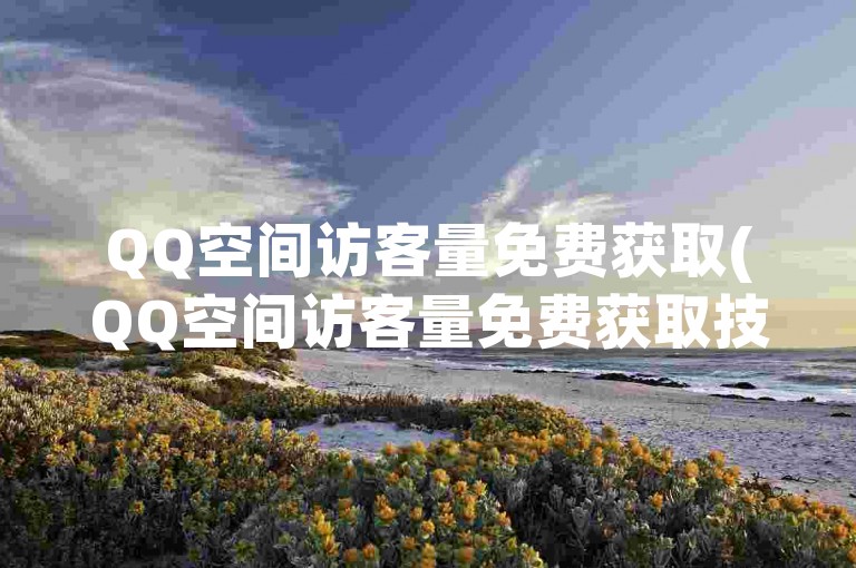 QQ空间访客量免费获取(QQ空间访客量免费获取技巧)