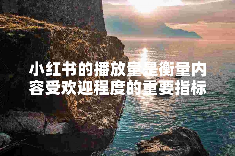 小红书的播放量是衡量内容受欢迎程度的重要指标，高播放量往往意味着更多的曝光和潜在的收益机会。