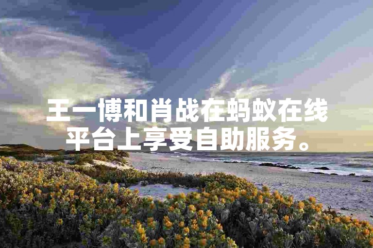 王一博和肖战在蚂蚁在线平台上享受自助服务。