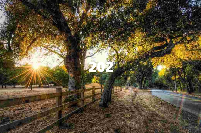 2025年拼多多互助群在微信公众号上的创新进展。