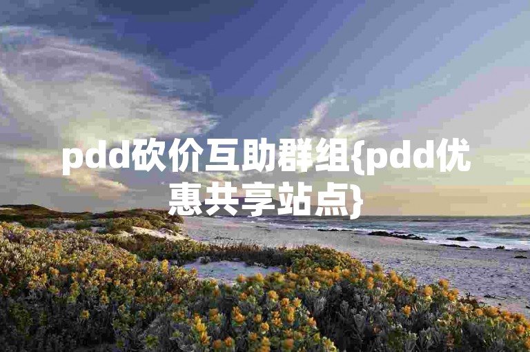 pdd砍价互助群组{pdd优惠共享站点}