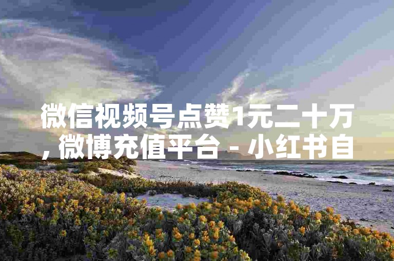 微信视频号点赞1元二十万, 微博充值平台 - 小红书自助平台在线下单正规 - 知乎十万阅读量月收入。