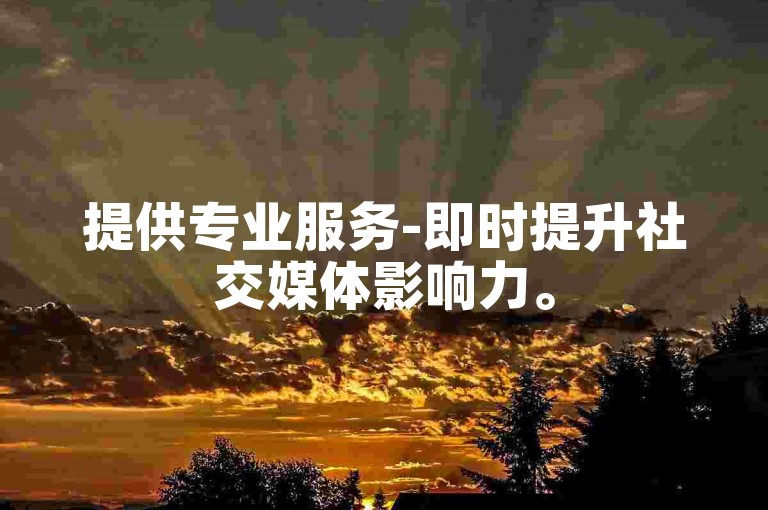 提供专业服务-即时提升社交媒体影响力。