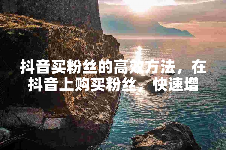 抖音买粉丝的高效方法，在抖音上购买粉丝，快速增加人气，2024必看！