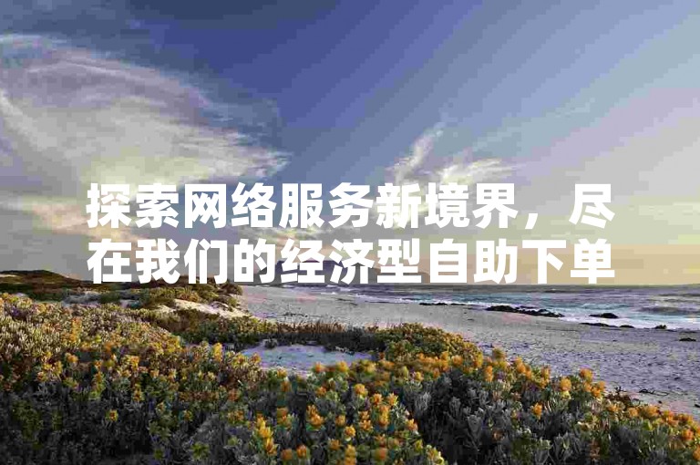探索网络服务新境界，尽在我们的经济型自助下单系统——您的智慧选择。