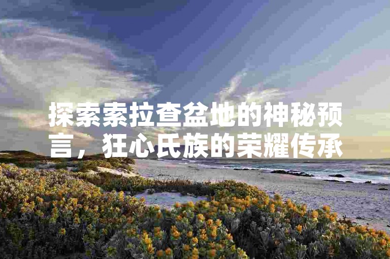 探索索拉查盆地的神秘预言，狂心氏族的荣耀传承，B站粉丝增长的秘诀。