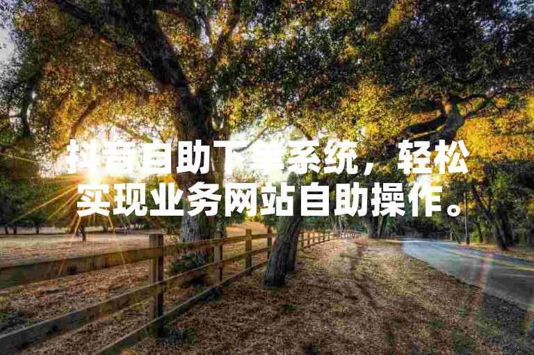 抖音自助下单系统，轻松实现业务网站自助操作。