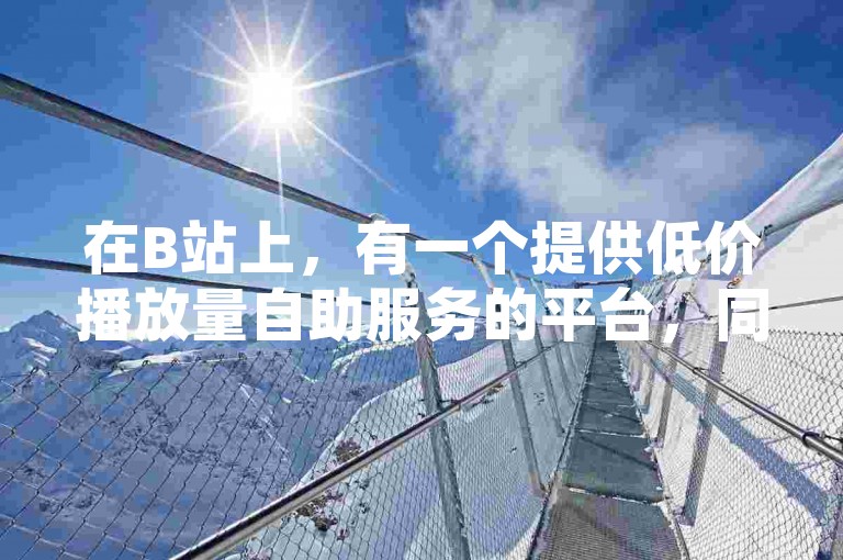 在B站上，有一个提供低价播放量自助服务的平台，同时它还提供成语词义的详细解析。