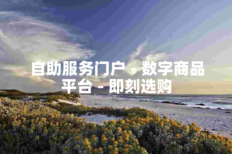 自助服务门户 - 数字商品平台 - 即刻选购