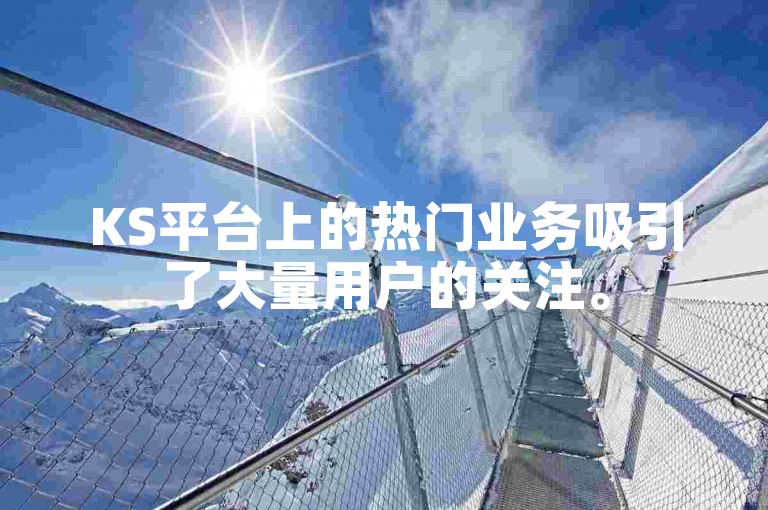 KS平台上的热门业务吸引了大量用户的关注。