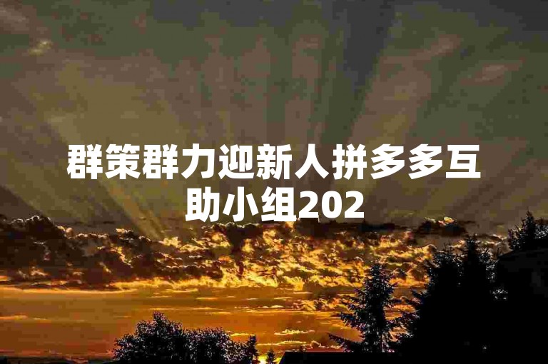 群策群力迎新人拼多多互助小组2025年微信群。