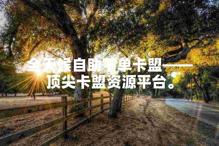 全天候自助下单卡盟——顶尖卡盟资源平台。
