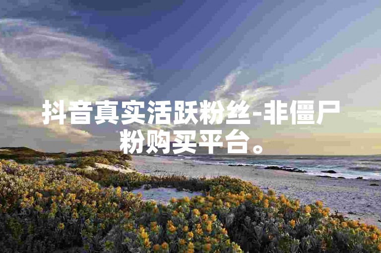 抖音真实活跃粉丝-非僵尸粉购买平台。