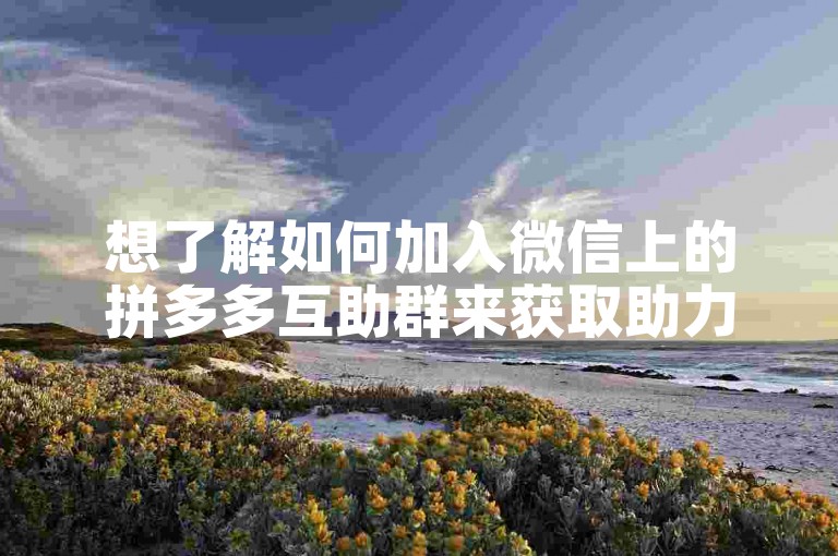 想了解如何加入微信上的拼多多互助群来获取助力吗？