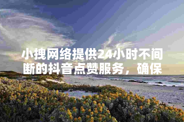 小拽网络提供24小时不间断的抖音点赞服务，确保快速发货。