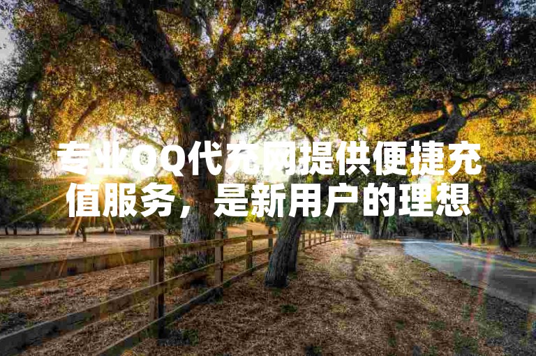 专业QQ代充网提供便捷充值服务，是新用户的理想选择！