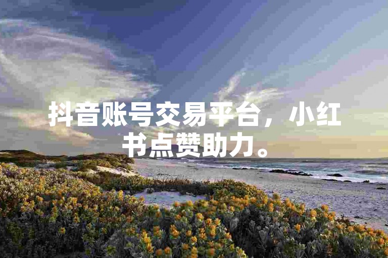 抖音账号交易平台，小红书点赞助力。