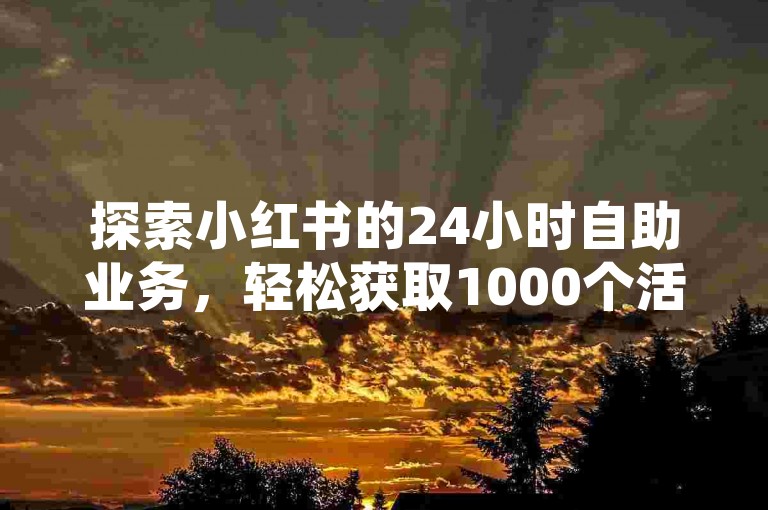 探索小红书的24小时自助业务，轻松获取1000个活跃粉丝仅需一元，同时了解如何在抖音上以一比一的比例充值抖币，以及QQ会员的官方直充服务。