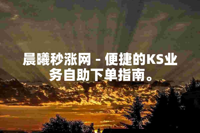 晨曦秒涨网 - 便捷的KS业务自助下单指南。