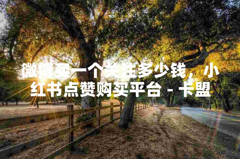 微博买一个关注多少钱，小红书点赞购买平台 - 卡盟充值QQ音乐绿钻 - 卡盟优惠自助开通会员。
