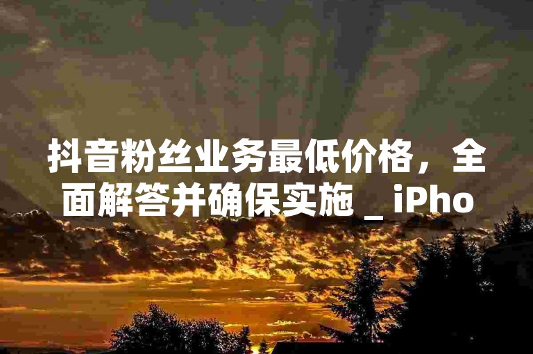 抖音粉丝业务最低价格，全面解答并确保实施 _ iPhone89.7.333