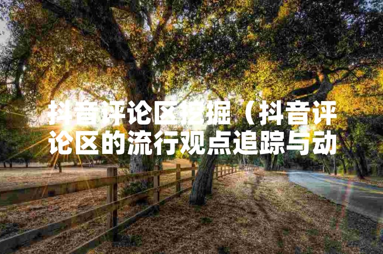 抖音评论区挖掘（抖音评论区的流行观点追踪与动态洞察）。