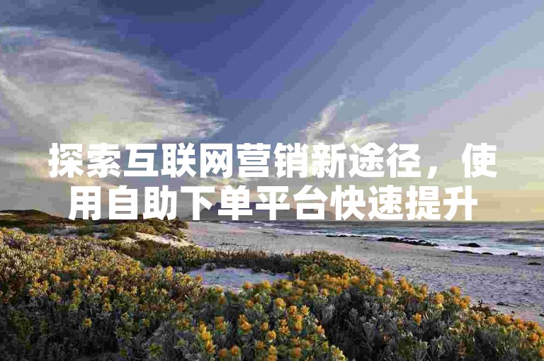 探索互联网营销新途径，使用自助下单平台快速提升社交媒体关注度。