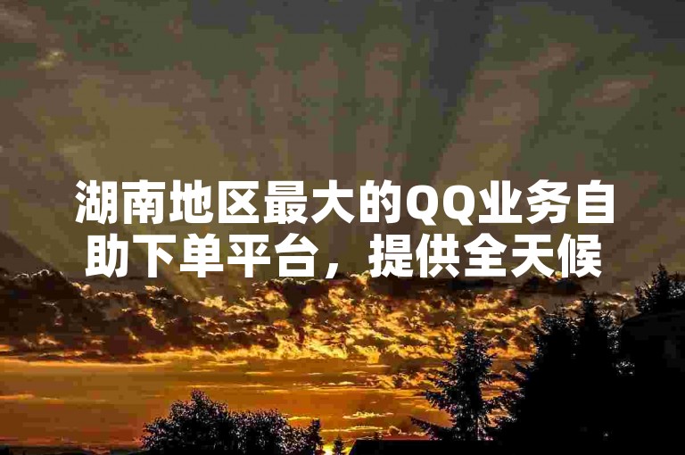 湖南地区最大的QQ业务自助下单平台，提供全天候服务。