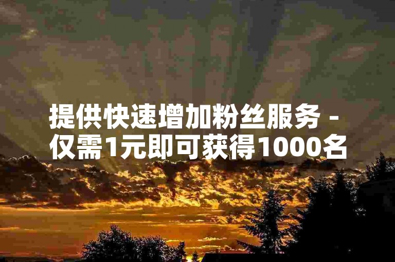提供快速增加粉丝服务 - 仅需1元即可获得1000名真实关注者。