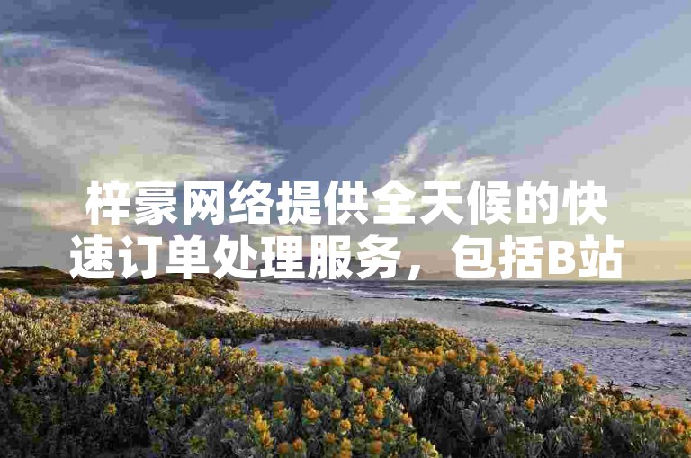 梓豪网络提供全天候的快速订单处理服务，包括B站和抖音平台的低价秒单业务，以及24小时自助商城软件。