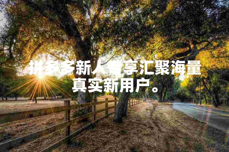 拼多多新人专享汇聚海量真实新用户。