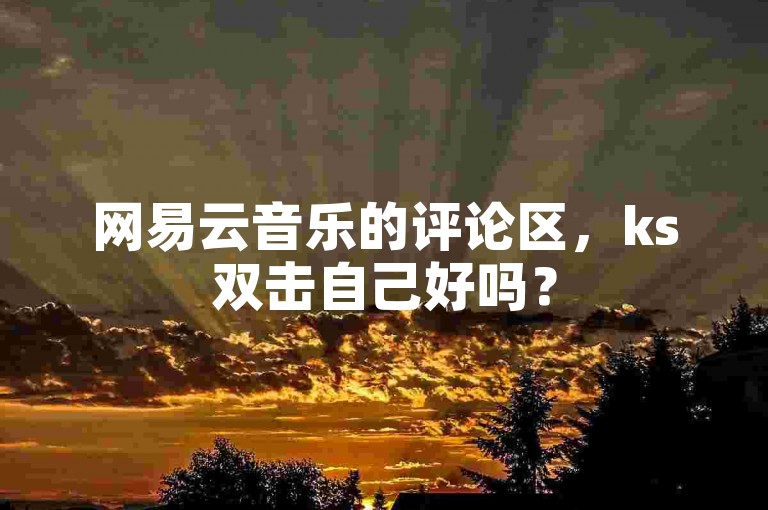 网易云音乐的评论区，ks双击自己好吗？