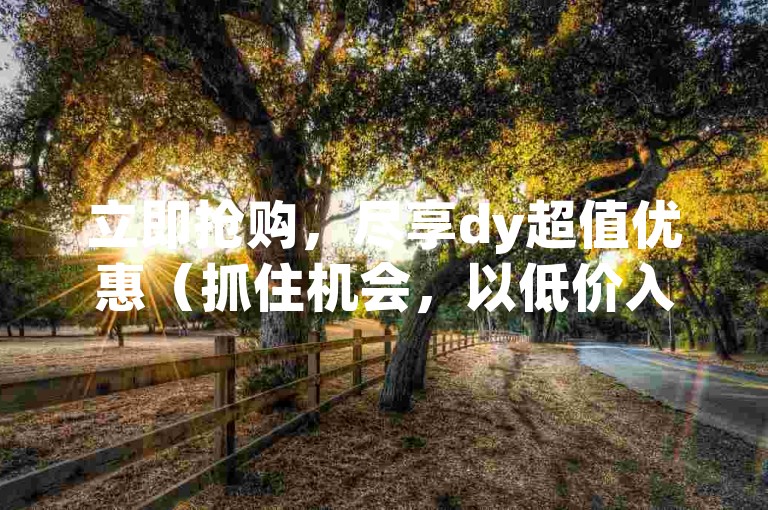 立即抢购，尽享dy超值优惠（抓住机会，以低价入手心仪商品）