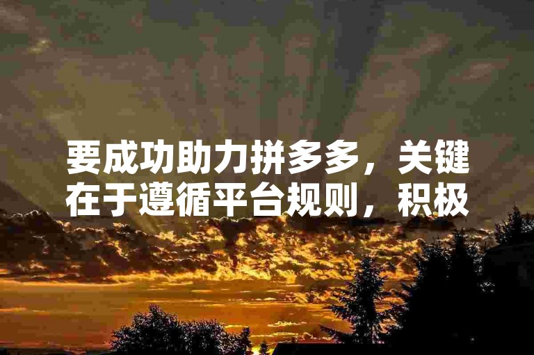 要成功助力拼多多，关键在于遵循平台规则，积极参与各种互动活动，并利用拼多多砍价软件等工具来增加助力的成功率。