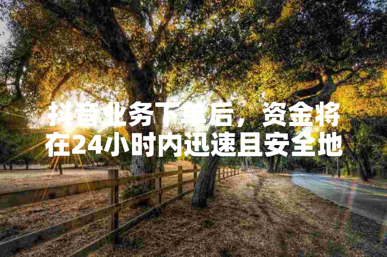 抖音业务下单后，资金将在24小时内迅速且安全地到达账户。