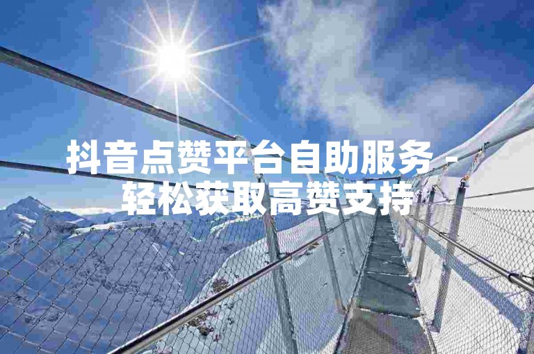 抖音点赞平台自助服务 - 轻松获取高赞支持