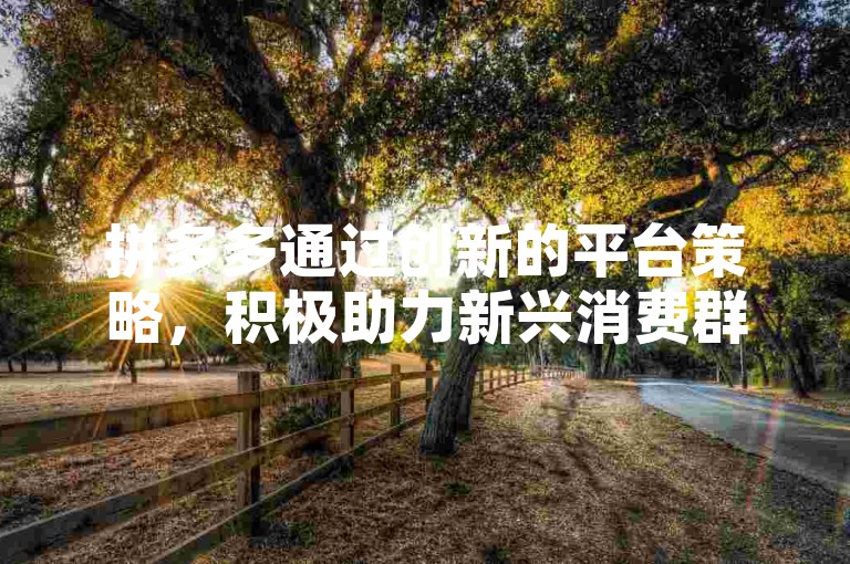 拼多多通过创新的平台策略，积极助力新兴消费群体，深入探索并挖掘其潜在的消费力量。