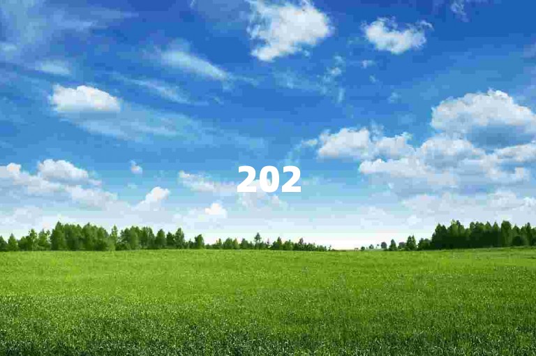 2025年拼多多互砍微信群，助力拼团更轻松！