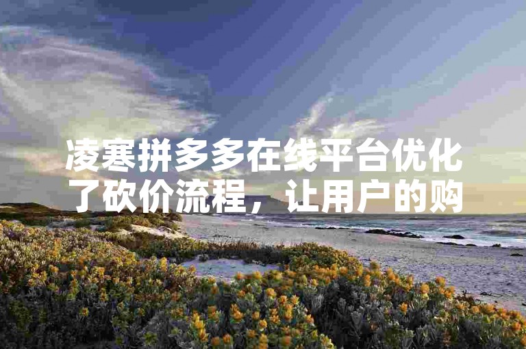 凌寒拼多多在线平台优化了砍价流程，让用户的购物之旅更加顺畅愉快。