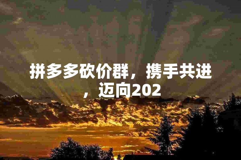 拼多多砍价群，携手共进，迈向2025新征程。